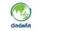 World Gas by WP Energy | Digital Factory
